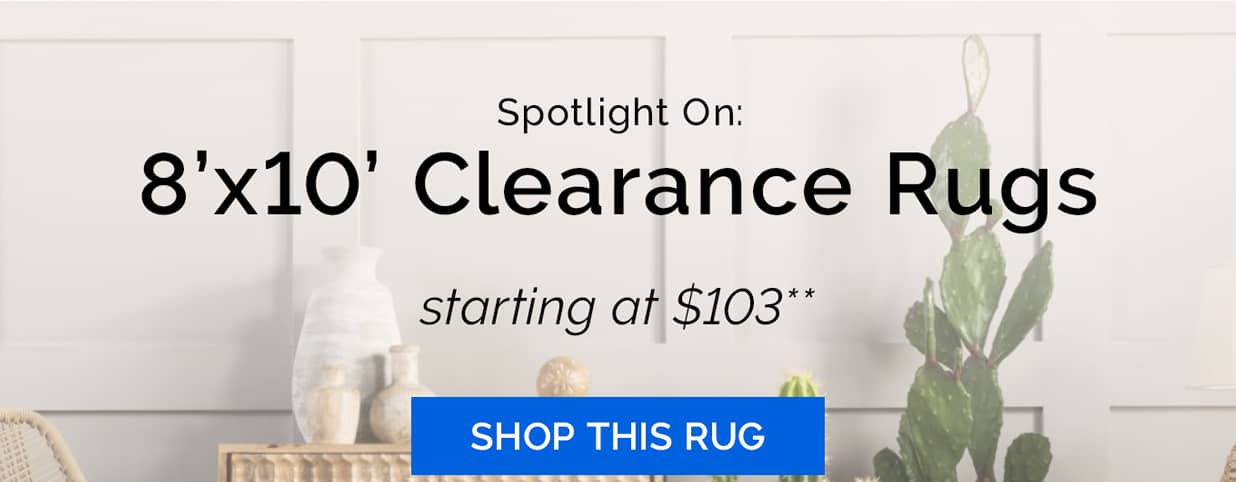 Spotlight On: 8'x10' Clearance Rugs | Shop This Rug