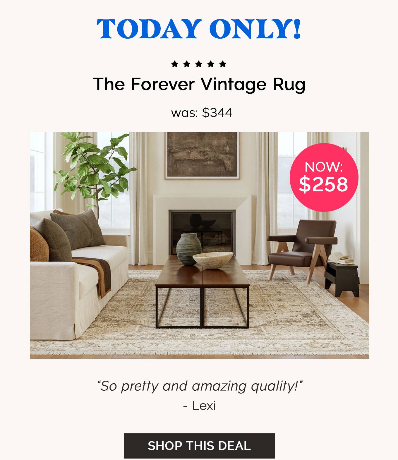 TODAY ONLY! The Forever Vintage Rug | Shop This Deal